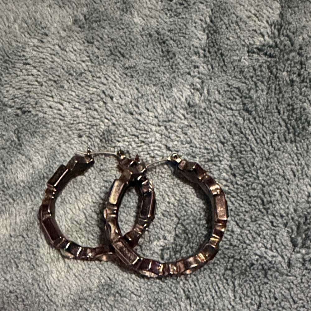 Elegant Silver Hoop Earrings